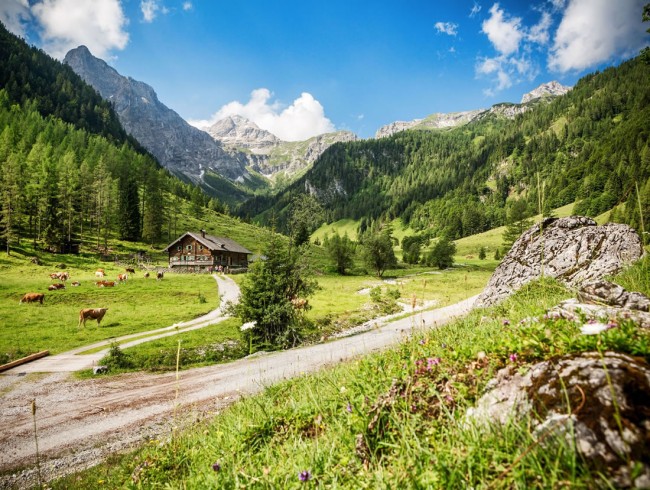 Biketour Marchalmen in Flachauwinkl © Flachau Tourismus